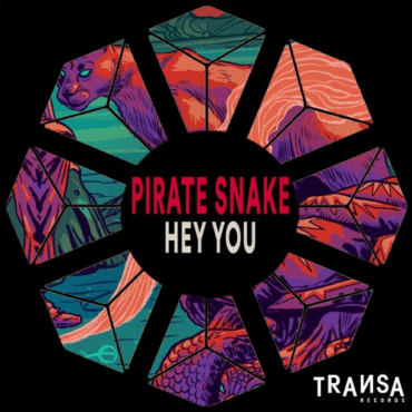 Pirate Snake - Hey You (Original Mix)