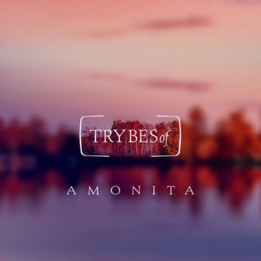 Amonita - Wisteria (Original Mix)