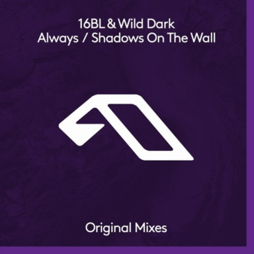 16BL & Wild Dark - Shadows On The Wall (feat. Megan Morrison) [16BL Extended Mix]