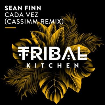 Sean Finn - Cada Vez (CASSIMM Extended Remix)