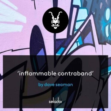 Dave Seaman - Inflammable Contraband