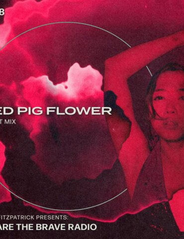 We Are The Brave Radio 288 - Red Pig Flower (Guest Mix)