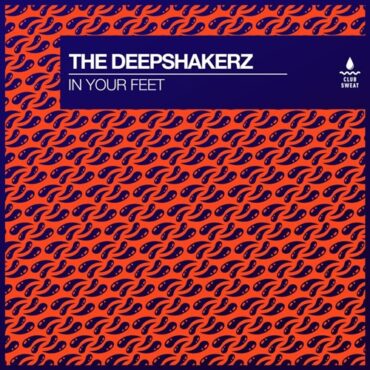 The Deepshakerz - In Your Feet (Extended Mix)