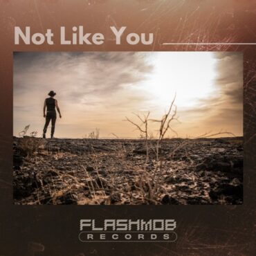 Flashmob - Not Like You (Original Mix)