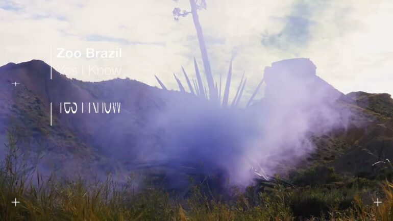Zoo Brazil - Yes I Know